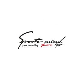 TSC Z850 Fiat Punto Mind Sport Far Üstü Kaput Oto Sticker