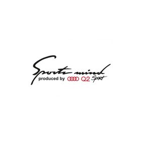 TSC Z877 Audi Q2 Mind Sport Far Üstü Kaput Yapıştırma Oto Sticker