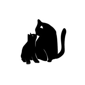 TSC Z902 2li Sevimli Kedi Z Araba Yapıştırma Sticker
