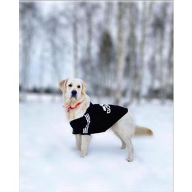 Tshirthane Adidog Black Sweatshirt