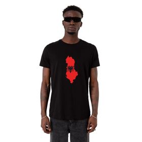 Tshirthane Euro 24 Albania Siyah Erkek T-shirt