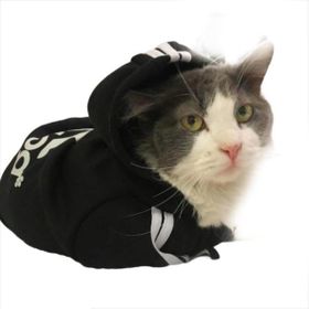 Tshirthane Siyah Adidog Kapşonlu Duo Kedi Sweatshirt