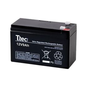 Ttec 2024 12 V 9 Ah Bakımzıs Kuru Akü