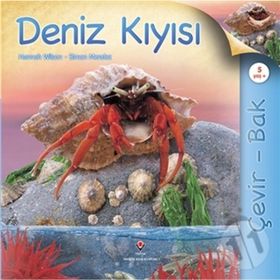 Tübitak - Çevir Bak Deniz Kıyısı
