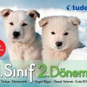 Tudem Yayınları 1. Sınıf 2. Dönem Seti