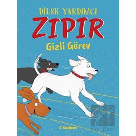 Tudem Yayınları Zıpır Gizli Görev