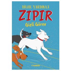 Tudem Yayınları Zıpır Gizli Görev