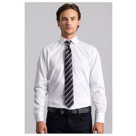 Tudors Modern Slim Fit Düz Saten Erkek Gömlek