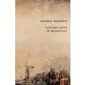 Tufandan Sonra İlk Akşamüzeri - Mehmet Büyükkol