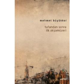 Tufandan Sonra İlk Akşamüzeri - Mehmet Büyükkol