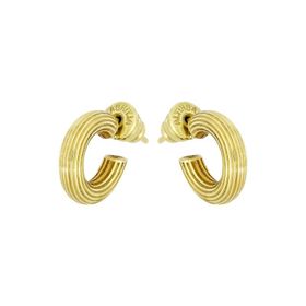 Tuğrul Altın T008061 Altın Küpe