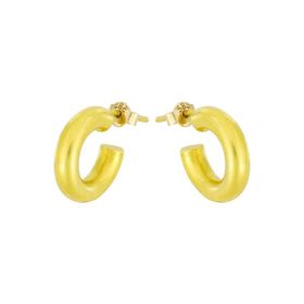 Tuğrul Altın T014269 Altın Küpe