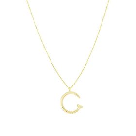 Tuğrul Altın T054454 Altın Çivi Kolye