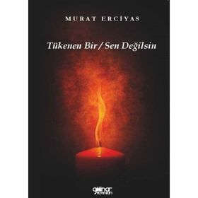 Tükenen Bir / Sen Değilsin - Murat Erciyas - Gülnar Yayınları