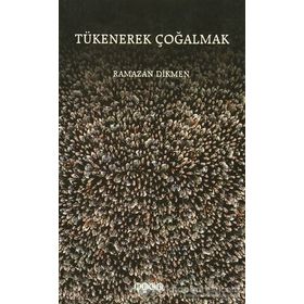 TÜKENEREK ÇOĞALMAK - RAMAZAN DIKMEN