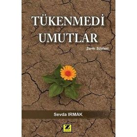 Tükenmedi Umutlar - Sevda Irmak
