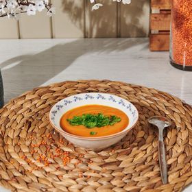 Tulu Porselen Robi 14 cm Renkli Çukur Kase