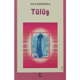 Tülüş - Ayla Çınaroğlu
