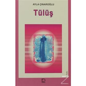 Tülüş - Ayla Çınaroğlu