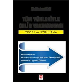 Tüm Yönleriyle Gelir Yakınsaması - Teori ve Uygulama - Ayşe Güneş
