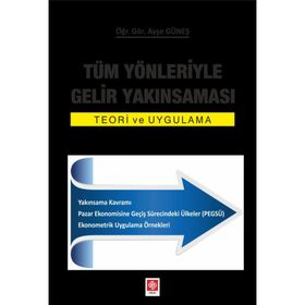 Tüm Yönleriyle Gelir Yakınsaması - Teori ve Uygulama - Ayşe Güneş