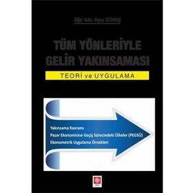 Tüm Yönleriyle Gelir Yakınsaması - Teori ve Uygulama - Ayşe Güneş