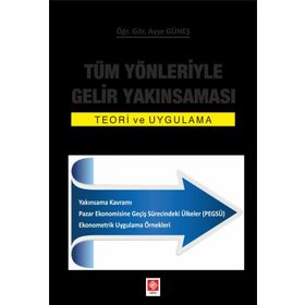 Tüm Yönleriyle Gelir Yakınsaması - Teori ve Uygulama - Ayşe Güneş