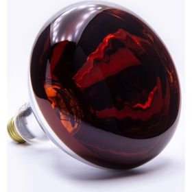 Tungsram Infrared Kırmızı Işık 250 W E27 Ampul