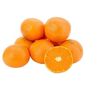 Tüplü Aşılı Çok Verimli Çekirdeksiz Okitsu Mandalina Fidanı