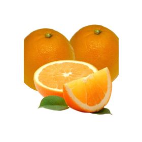 Tüplü Aşılı Çok Verimli Pürüzsüz Navel Portakal Fidanı