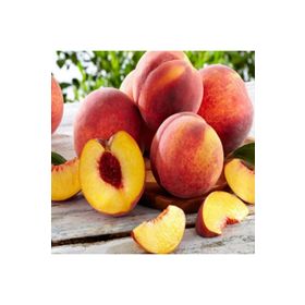 Tüplü Aşılı Özel Aromalı Bol Verimli Carselet Şeftali Fidanı