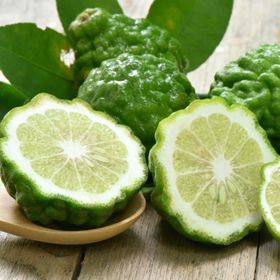 Tüplü Aşılı Özel Ürün Bol Verimli Bergamot Fidanı