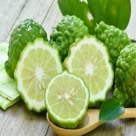 Tüplü Aşılı Özel Ürün Bol Verimli Bergamot Fidanı
