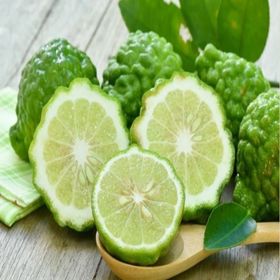 Tüplü Aşılı Özel Ürün Bol Verimli Bergamot Fidanı