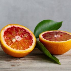 Tüplü Aşılı Özel Ürün Nadir Bulunan Kan Portakal Fidanı