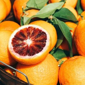 Tüplü Aşılı Özel Ürün Nadir Bulunan Kan Portakal Fidanı