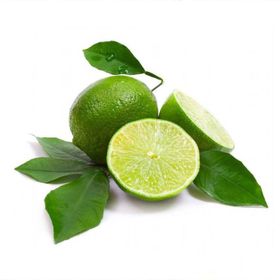 Tüplü Aşılı Verimli Bol Sulu Yeşil Meksika Lime Fidanı