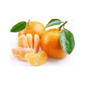 Tüplü Aşılı Verimli Sulu Aromalı Nova Mandalina Fidanı
