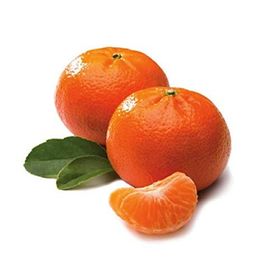 Tüplü Aşılı Verimli Sulu Aromalı Nova Mandalina Fidanı