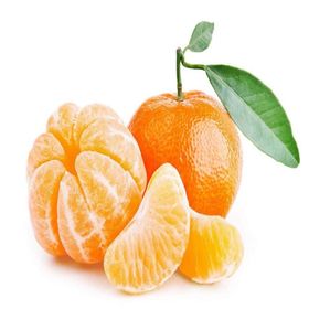 Tüplü Aşılı Verimli Sulu Aromalı Nova Mandalina Fidanı