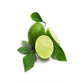 Tüplü Aşılı Yeşil Lime Quat Çekirdeksiz Limon Fidanı