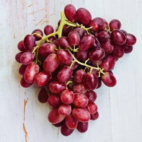 Tüplü Çekirdeksiz İri Crimson Seedless Üzüm Asma-Bağ Fidanı