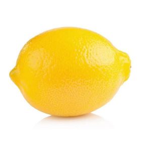 Tüplü Dev Meyveli Extra Jumbo Limon Fidanı