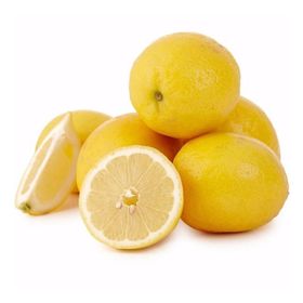 Tüplü Dev Meyveli Extra Jumbo Limon Fidanı