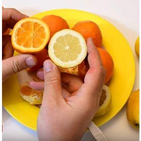 Tüplü Finike Kırmızı Limon Fidanı