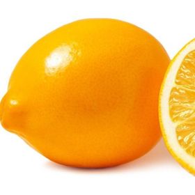 Tüplü Finike Kırmızı Limon Fidanı
