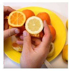 Tüplü Finike Kırmızı Limon Fidanı