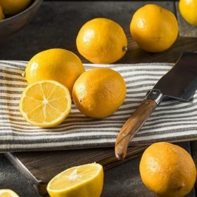 Tüplü Finike Kırmızı Limon Fidanı