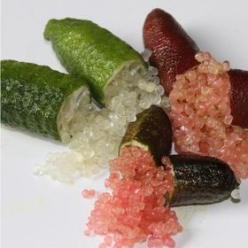 Tüplü Havyar Limon Fidanı