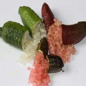Tüplü Havyar Limon Fidanı